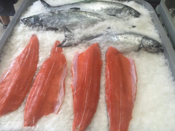 fresh salmon at barleans
