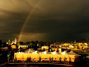 rainbow Artur Rojsza 2016-05-18