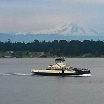 Whatcom Chief making the crossing from Gooseberry Point to Lummi Island (2016). Photo: My Ferndale News