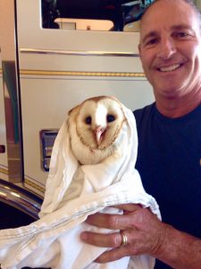 Lt John DeVenere holds a barn owl rescued by crew of ladder 41 2016-06-29 1609