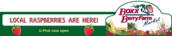 boxx farm raspberry with u-pick 728x