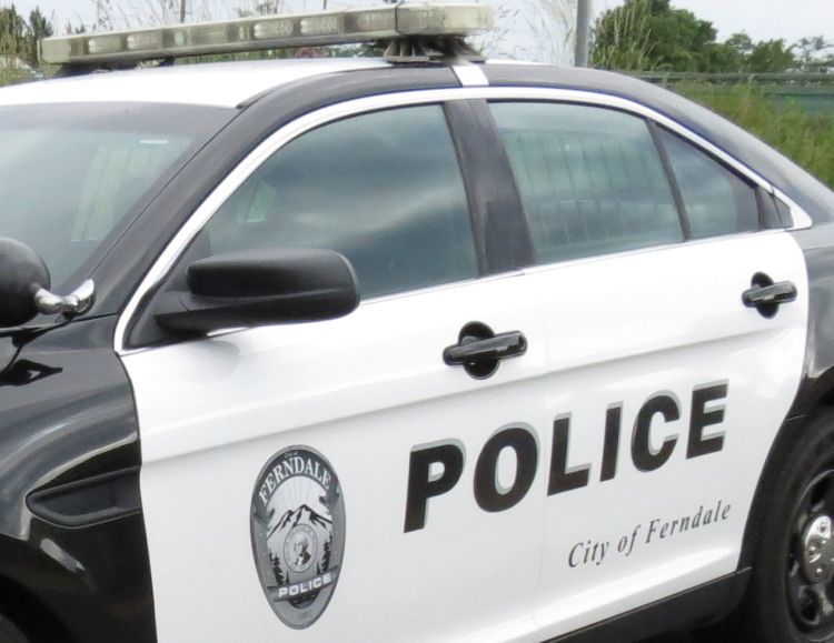 Ferndale police car file photo