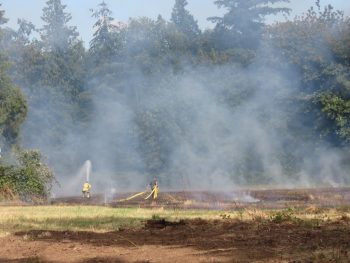 field fire on paradise road