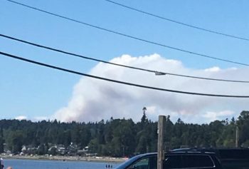 smoke plume from burns bog fire - Brandi Wydur 2016-07-03
