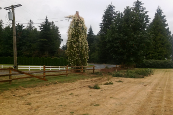 yard stolen truck drove through damaged fence