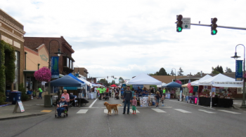 2016 ferndale street festival main street