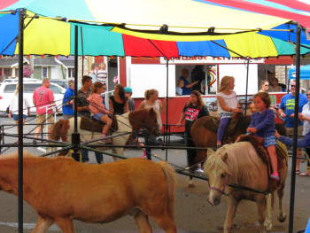2016 ferndale street festival main street pony ride