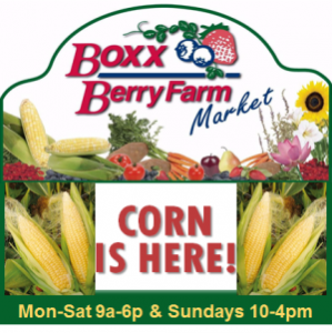 boxx corn 2016-08 300x
