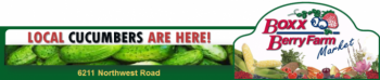 boxx farm cucumber 730x