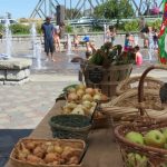 ferndale farmers market at the fountain in centennial riverwalk park 2016-08-19 discover ferndale x1024