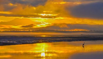 sunrise-at-sandy-point-2016-09-24-photo-travis-church