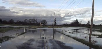 corner-of-barrett-road-and-paradise-flooded-unsigned-2016-11-06-1510