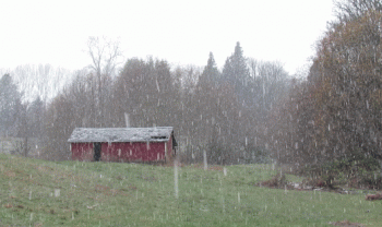 Snow falling in Ferndale (December 5, 2016). Video: Whatcom News