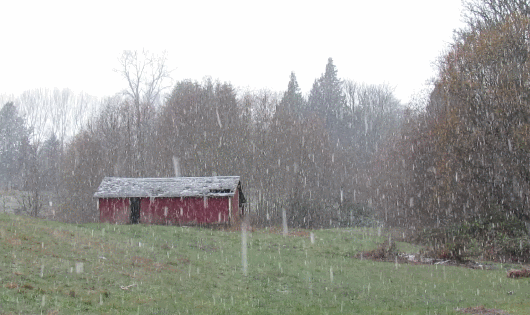 Snow falling in Ferndale (December 5, 2016). Video: Whatcom News