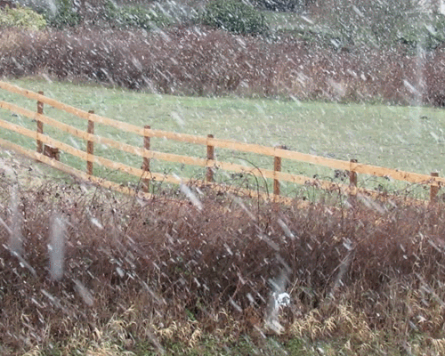 snowfall gif 2016-12-31