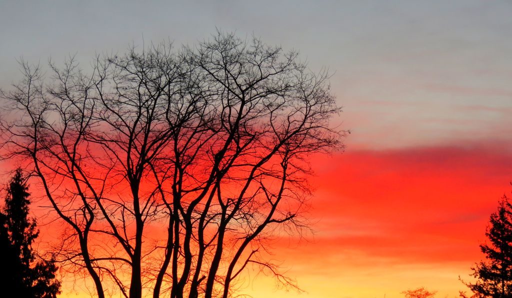 red sunrise 2017-01-13