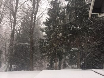 Snowy weather in Ferndale February 5 2017 - photo Kathy Carbone