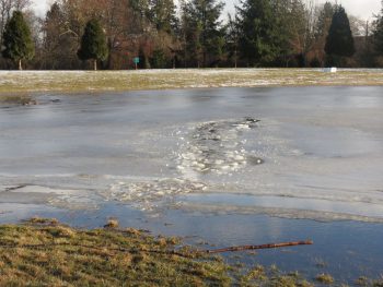 Trail where dog was rescued from frozen pond in vanderyacht park 2017-02-10 1600