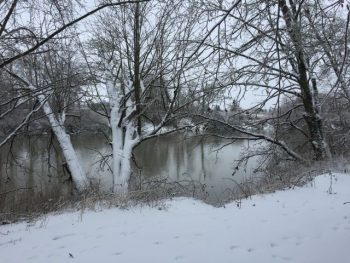 VanderYacht park 2-5 Photo by Loretta Sheldon