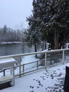 snowy morning on Church Hill in Ferndale 2017-02-26 - photo Lynda Coleman