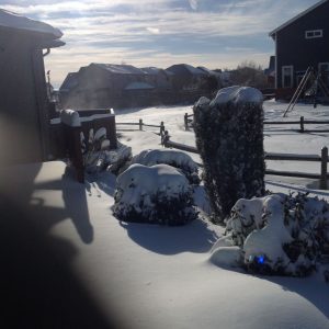 sun on the snow - paul ingram