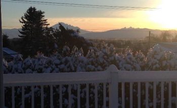 sunrise in the snow from thornton street 2017-02-07 - photo from a reader