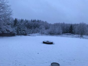 morning snow 2017-03-05 Darlene Brouillard Pecoaro via fb