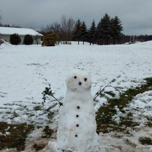 morning snow snowman thornton rd pic Patty Cusson Davis via fb