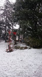 morning snow west ferndale 2017-03-05 Karla Cardwell via fb