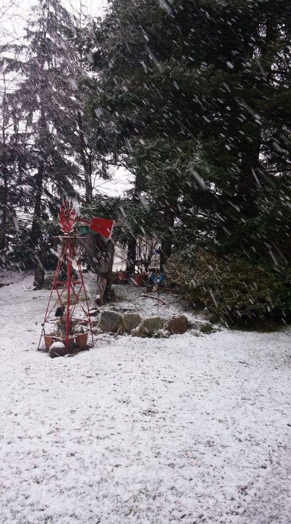 morning snow west ferndale 2017-03-05 Karla Cardwell via fb