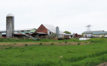 snookbrook dairy farm 2017-04-25