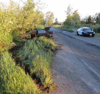 vehicle in the brush in w smith rd rollover 2017-05-05 0515
