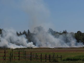 An outside fire between Bay and Grandview Roads, east of Blaine Road 2017-07-14