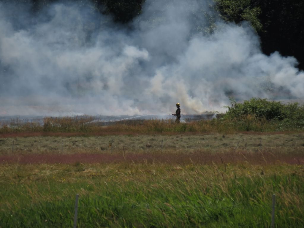 Firefighter directs a hose on an outside fire between Bay and Grandview Roads, east of Blaine Road 2017-07-14
