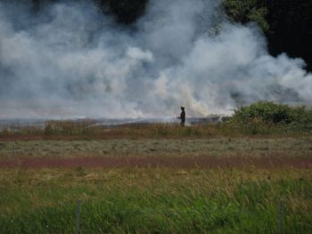 Firefighter directs a hose on an outside fire between Bay and Grandview Roads, east of Blaine Road 2017-07-14