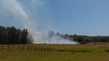 Outdoor fire in a field north of Grandview Road and east of Blaine Road