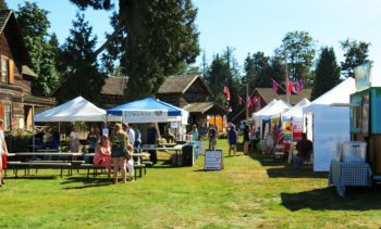 Pioneer Park during Old Settlers Picnic (July 28, 2017). Photo: Discover Ferndale