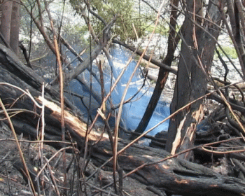 beach fire by lummi shore rd 2017-08-18