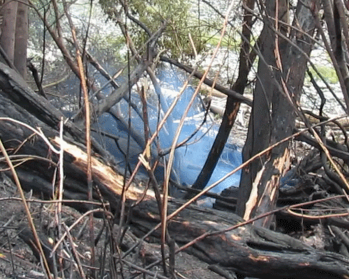 beach fire by lummi shore rd 2017-08-18