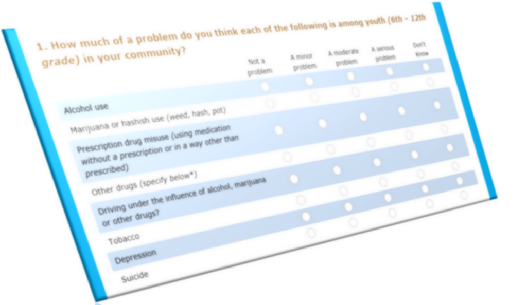 coalition survey screen grab