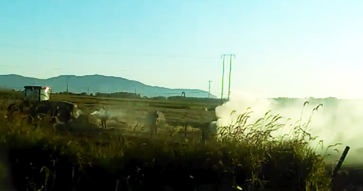 hayfield fire on lampman rd 2017-09-02