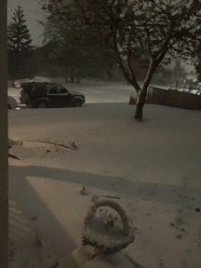 2 from kimberly stewart 2017-11-3