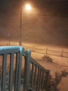 Annette Warbus on Lummi Shore Road 2017-11-3