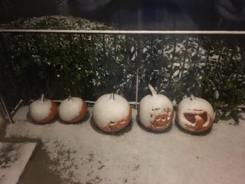 Portal Way photo Anita Goecke