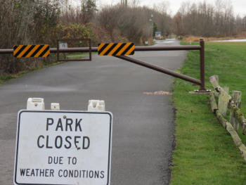 Tennant Lake and Fragrance Garden access closed due to flooding (November 24, 2017). Photo: My Ferndale News