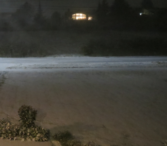 barely braving to go out in the first snow of the season 2017-11-3