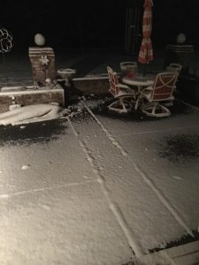 ferndale photo traci hawk