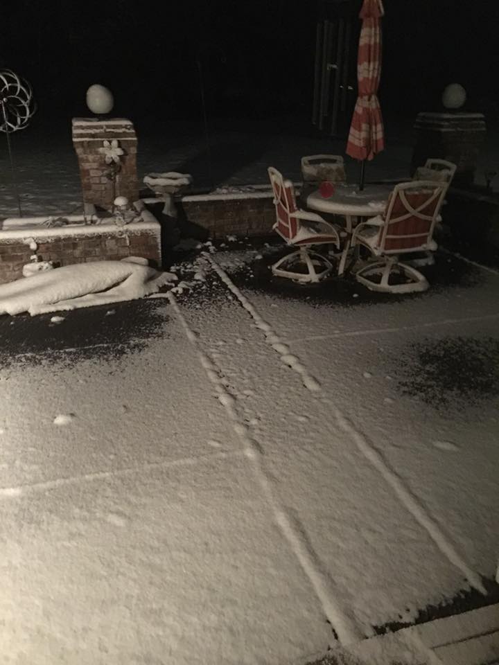 ferndale photo traci hawk