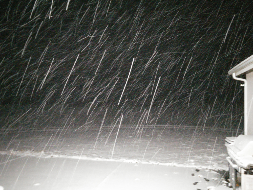 snowing in custer 2017-11-3 photo laura edwards