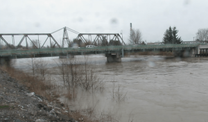 Nooksack River south of the Main Street Pioneer Bridge viewed from the west bank while the river level was over 17 feet (February 5, 2018). Photo: My Ferndale News